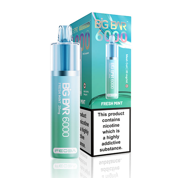 Feoba BIG BAR 6000 Fresh Mint